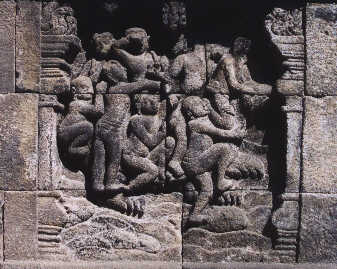 Jataka de la tortue 3