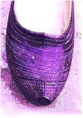 Madre�a