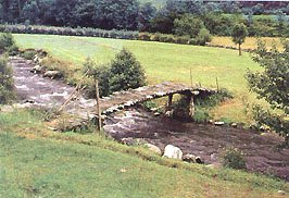 Puente en Fondos de Vega