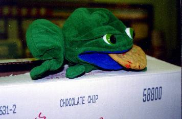 Cookie Sale at Bardwell