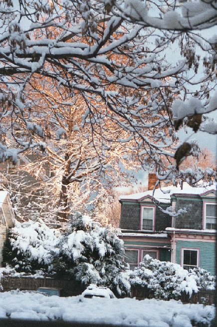snow2.jpg