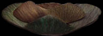Earth Brooch