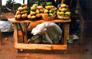 Jugosos mangos