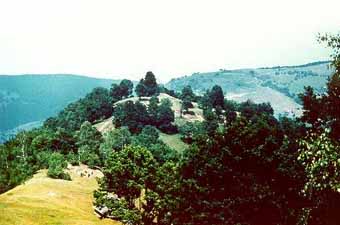Cetatea dacica Cap&acirc;lna