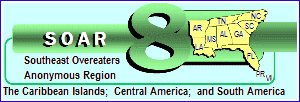 SOAR 8 Icon