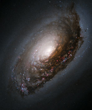 buraco negro en la galaxia MG4