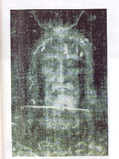 rosto.jpg (15925 bytes)