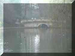 Cheltenham 10