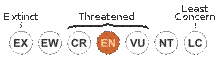 http://upload.wikimedia.org/wikipedia/commons/thumb/7/70/Status_iucn3.1_EN.svg/220px-Status_iucn3.1_EN.svg.png