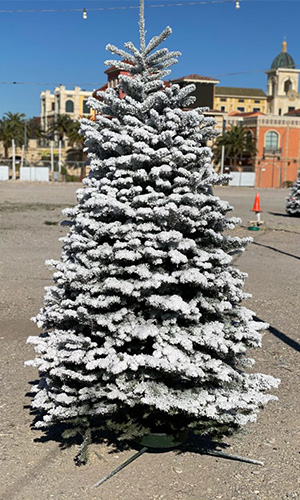 treee