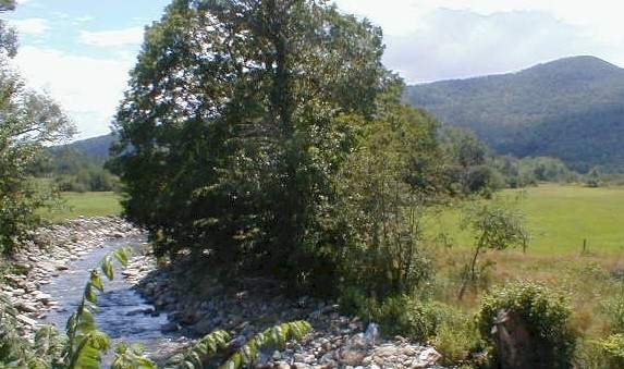 Glen Sutton View