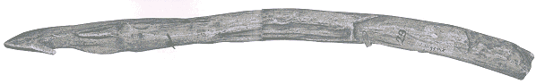 basic spear thrower