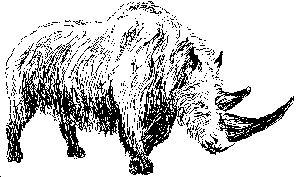 drawn by Bj�rn Kurt�n
