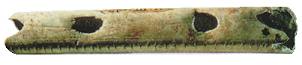 25,000 year old bird-bone flute
