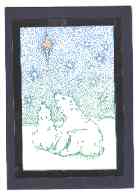 From Janine Anderson