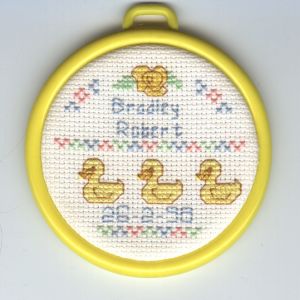 Bradley's Birth Sampler