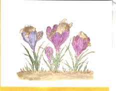 From Sandy Thomas