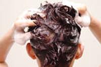Hair care. Trasplante del pelo como solución de la pérdida del pelo.