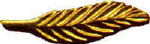 Eagle Gold Palm