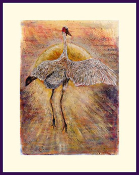 Brolga dancing in the early morning