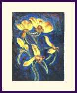 Donkey Orchid