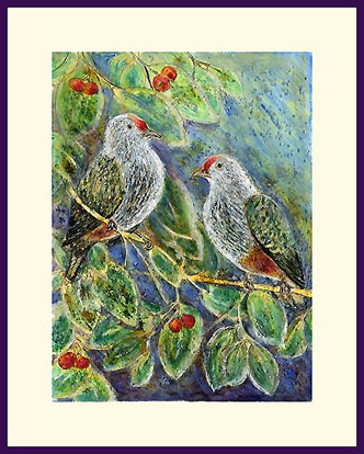 Rose Crowned Fruit Doves