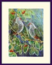 Rose Crowned Fruit Doves