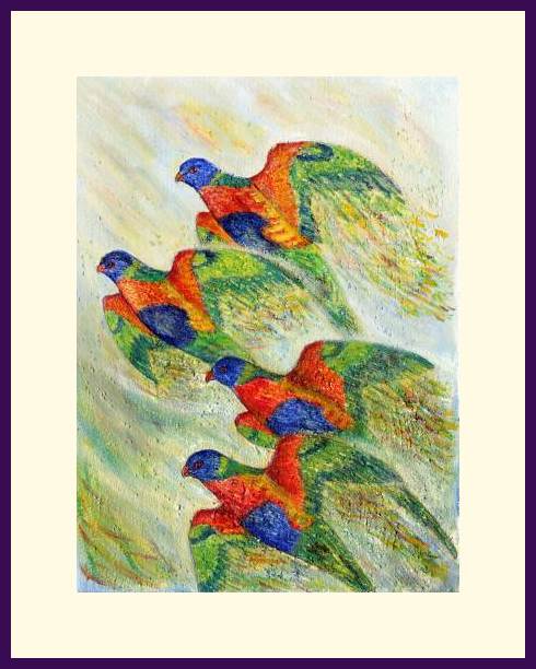 Rainbow Lorikeet