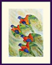 Rainbow lorikeets in flight