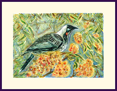 Red Wattlebird