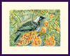 Red Wattlebird