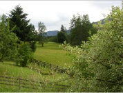 saalfelden_building_plot_25002002.jpg