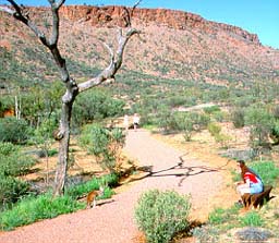Alice Springs Desert Park Botanical Gardens