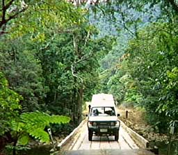 4WD touring in the Daintree Rainforest