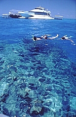 Snorkelling on the reef