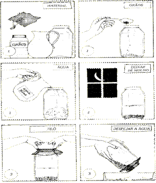 Gr�os germinados