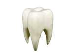 Abilidades do tratamento dos dentes. Dental care.