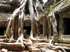 ANGKOR WAT