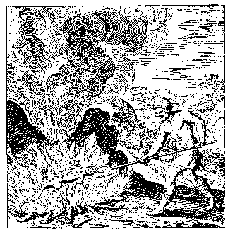 Roasting Salamander from
the Book of Lambsprinck.
