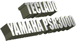      TECLADO
YAMAHA PSR3000
