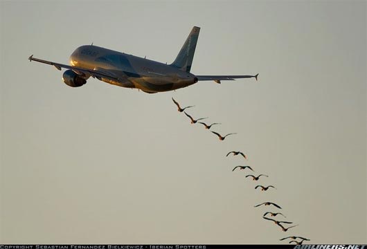 avion comercial
