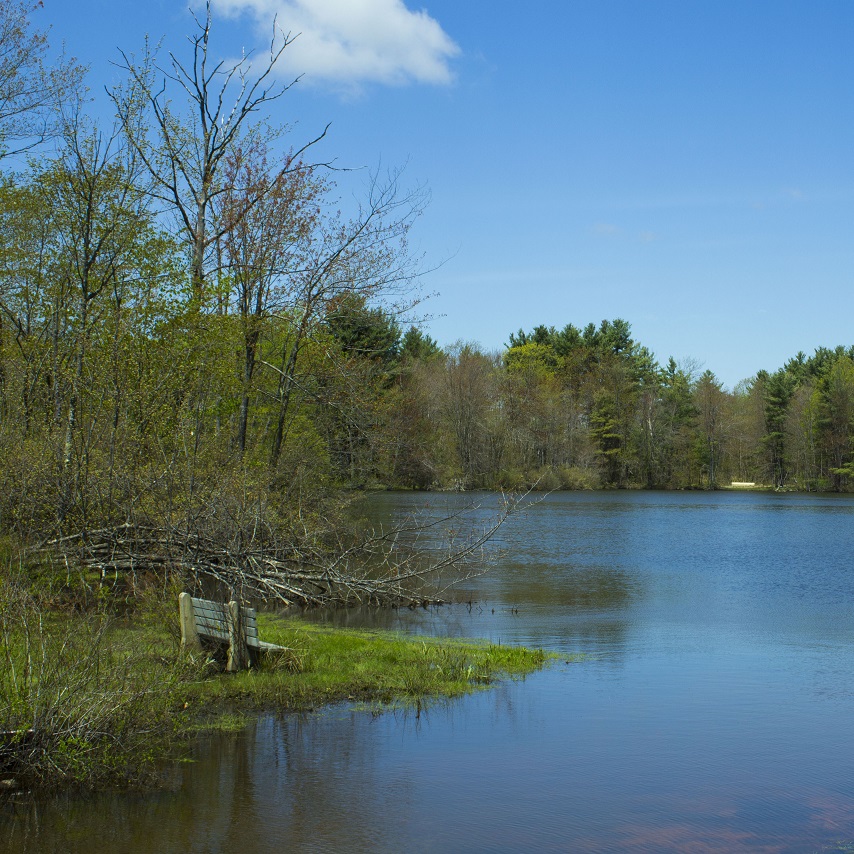lake