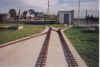 nuevo-3.jpg (319448 bytes)