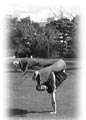 about capoeira