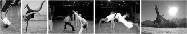 www.capoeira-regional.de