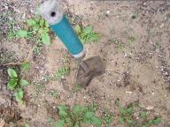 Spade