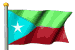 FLAG OF UNITED BALOCHISTAN