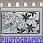 Photography