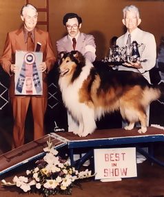 Mr Christopher going BIS under noted breeder/judge Roy Ayers