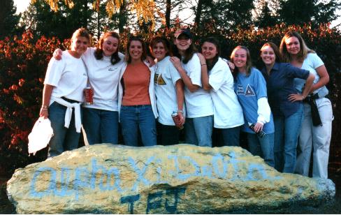 Show your spirit...paint the rocks!